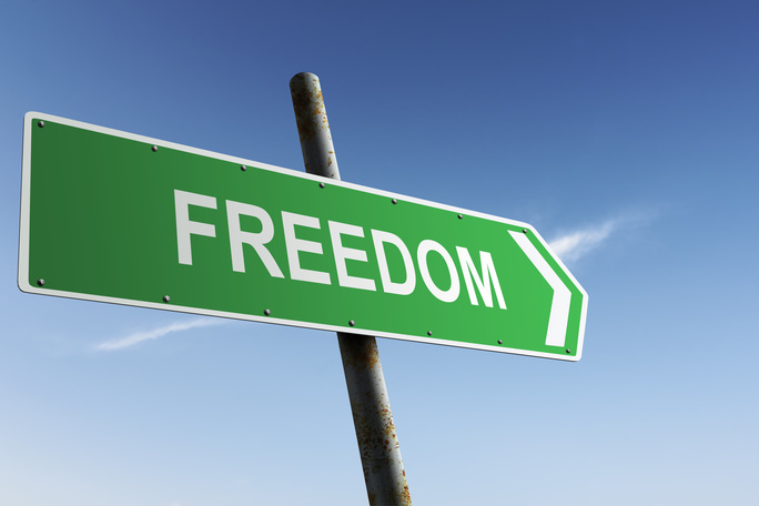 traffic freedom rider meaning